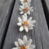 Edelweiss