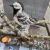 Nadelgefilzter Bachstelze