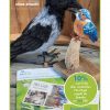 Nadelgefilzter "Gimpel" – Bild 3