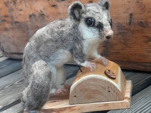 Siebenschläfer