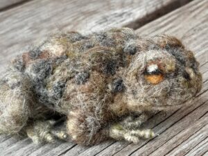 Nadelgefilzte Erdkröte