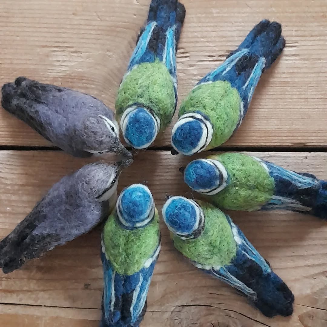 Vögel