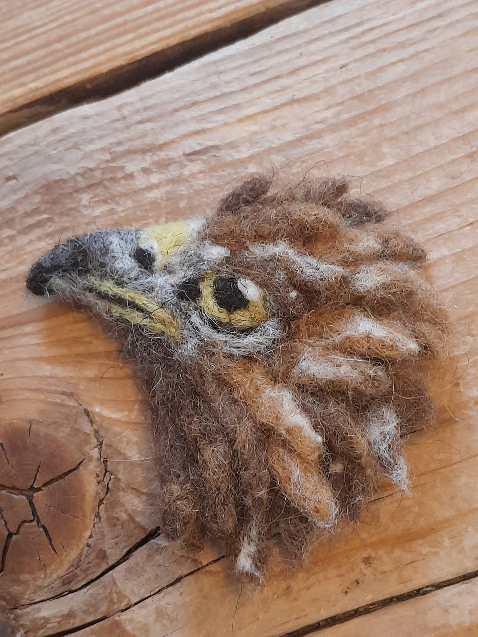 Steck mich an - Steinadler