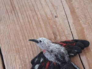 Steck mich an - Mauerläufer