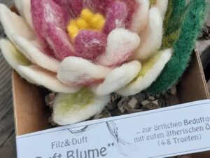 Duftblume Seerose