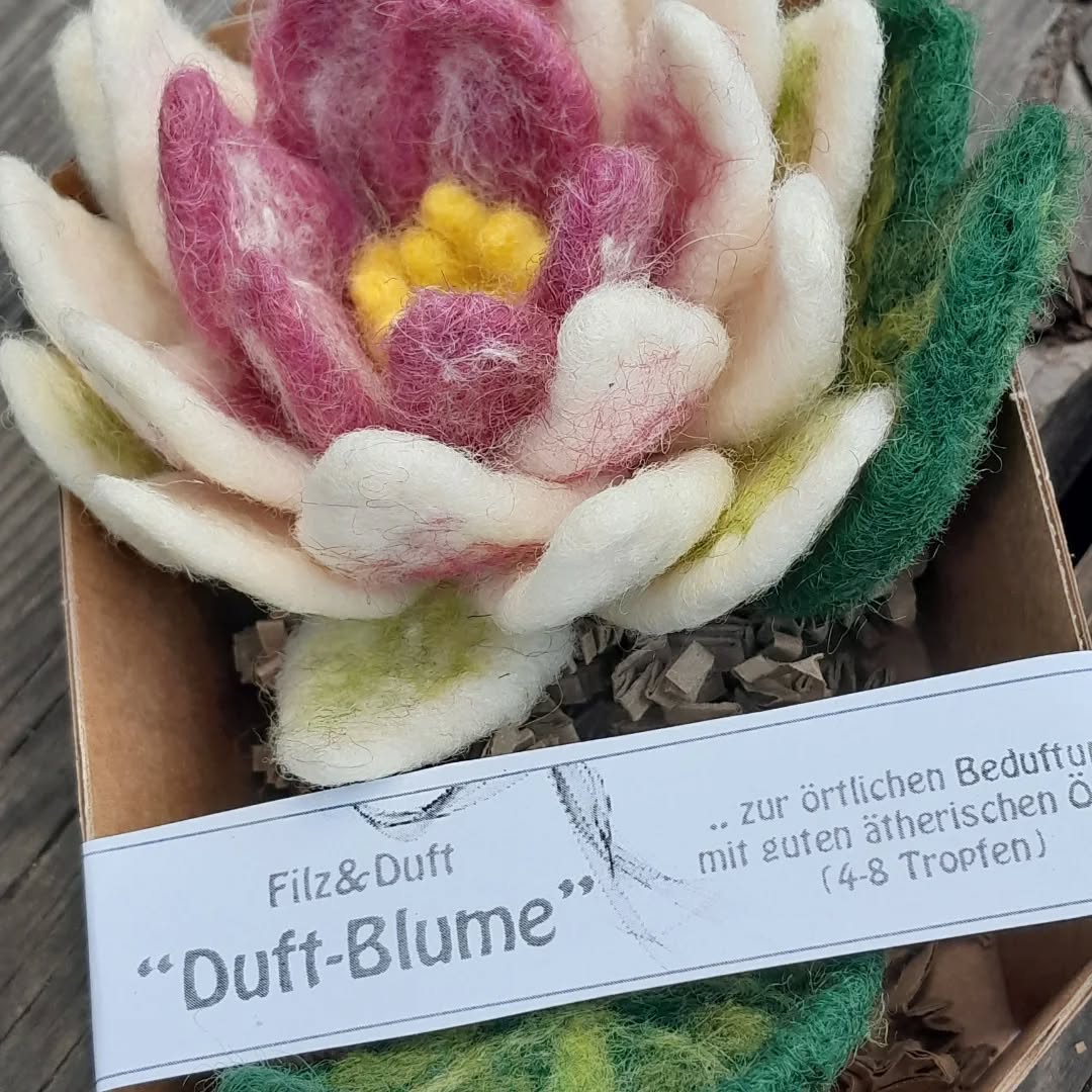 Duftblume Seerose