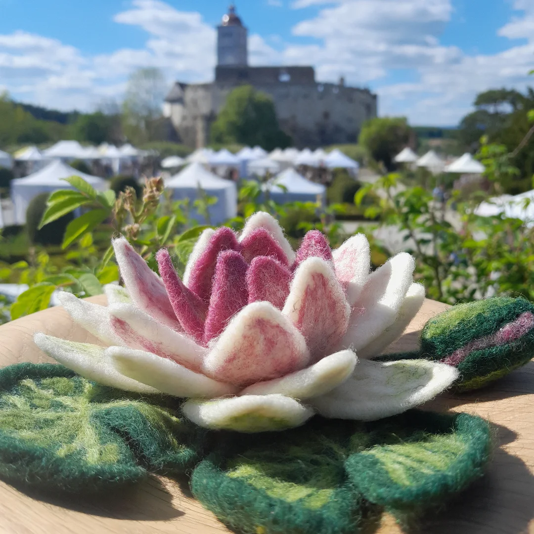 Seerose