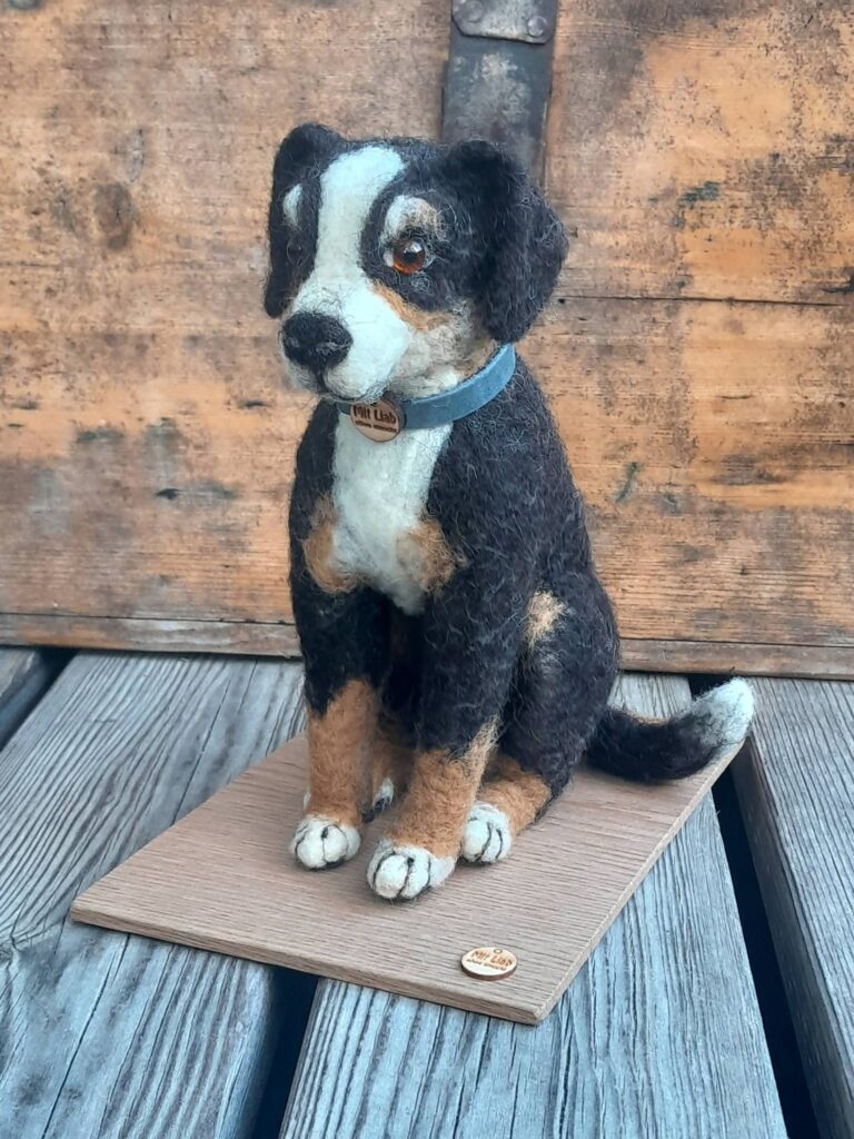 Hund