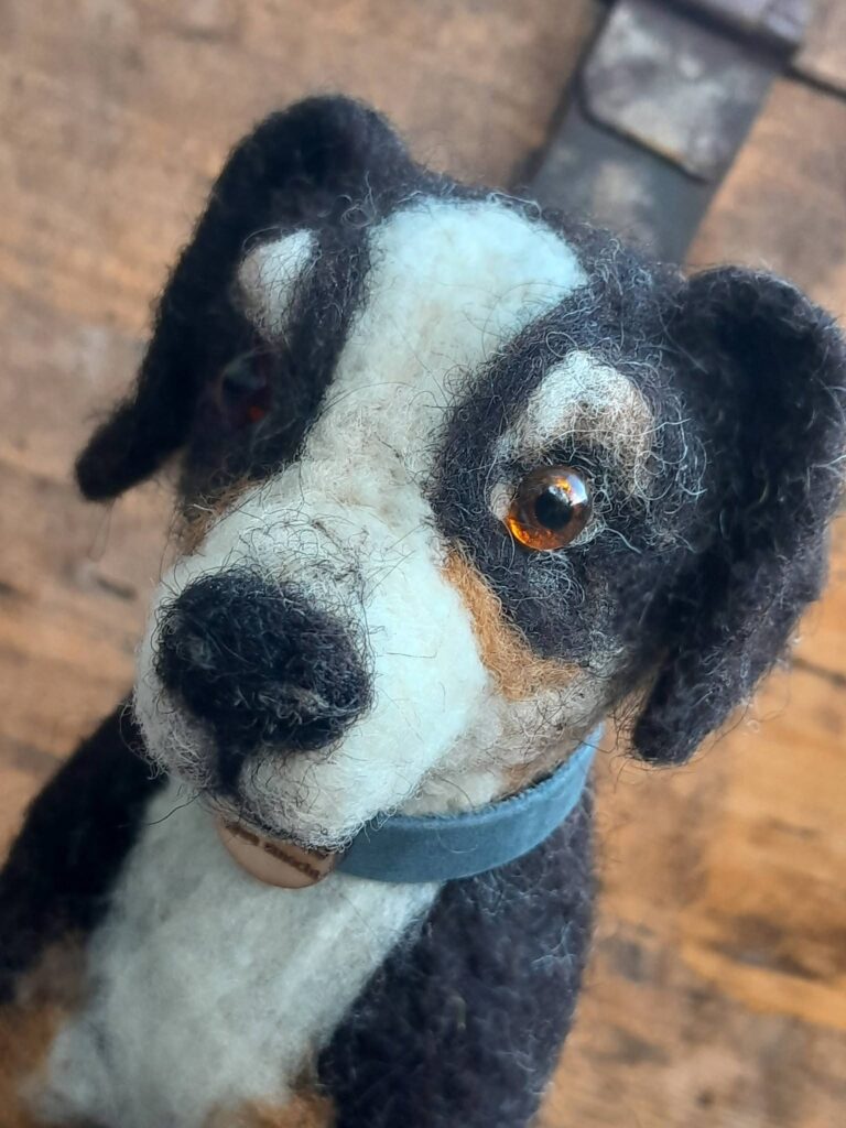 Hund